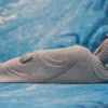 DSC_0372 Reclining Buddha Large