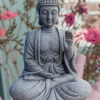 Blessing Buddha