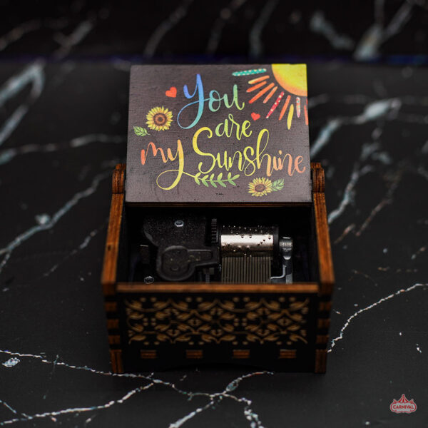 Sunshine Automatic Music Box